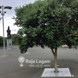 grill-pohon grill-pohon